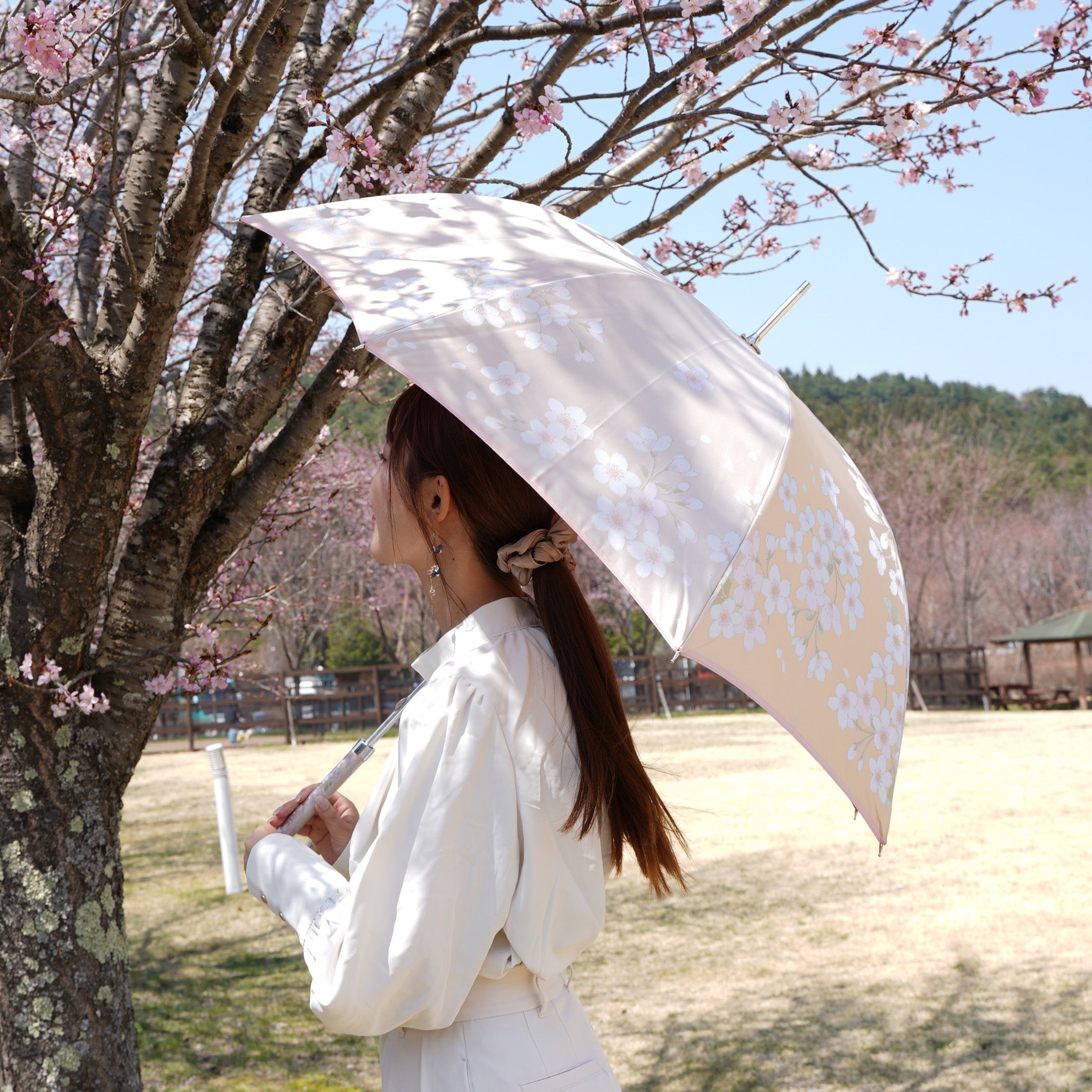 レディース晴雨兼用傘 絵おり 桜 使用イメージ