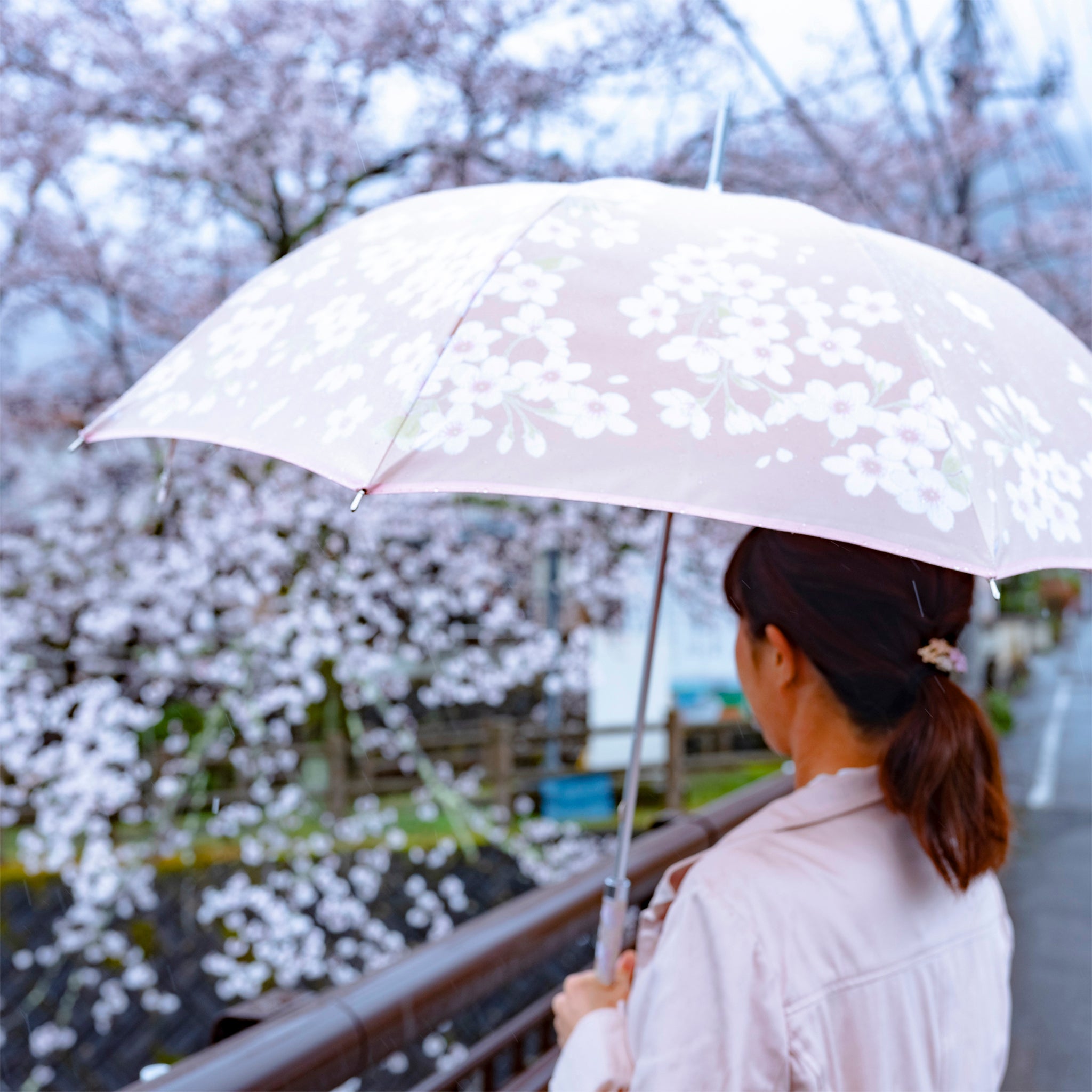 レディース晴雨兼用傘 絵おり 桜 使用イメージ