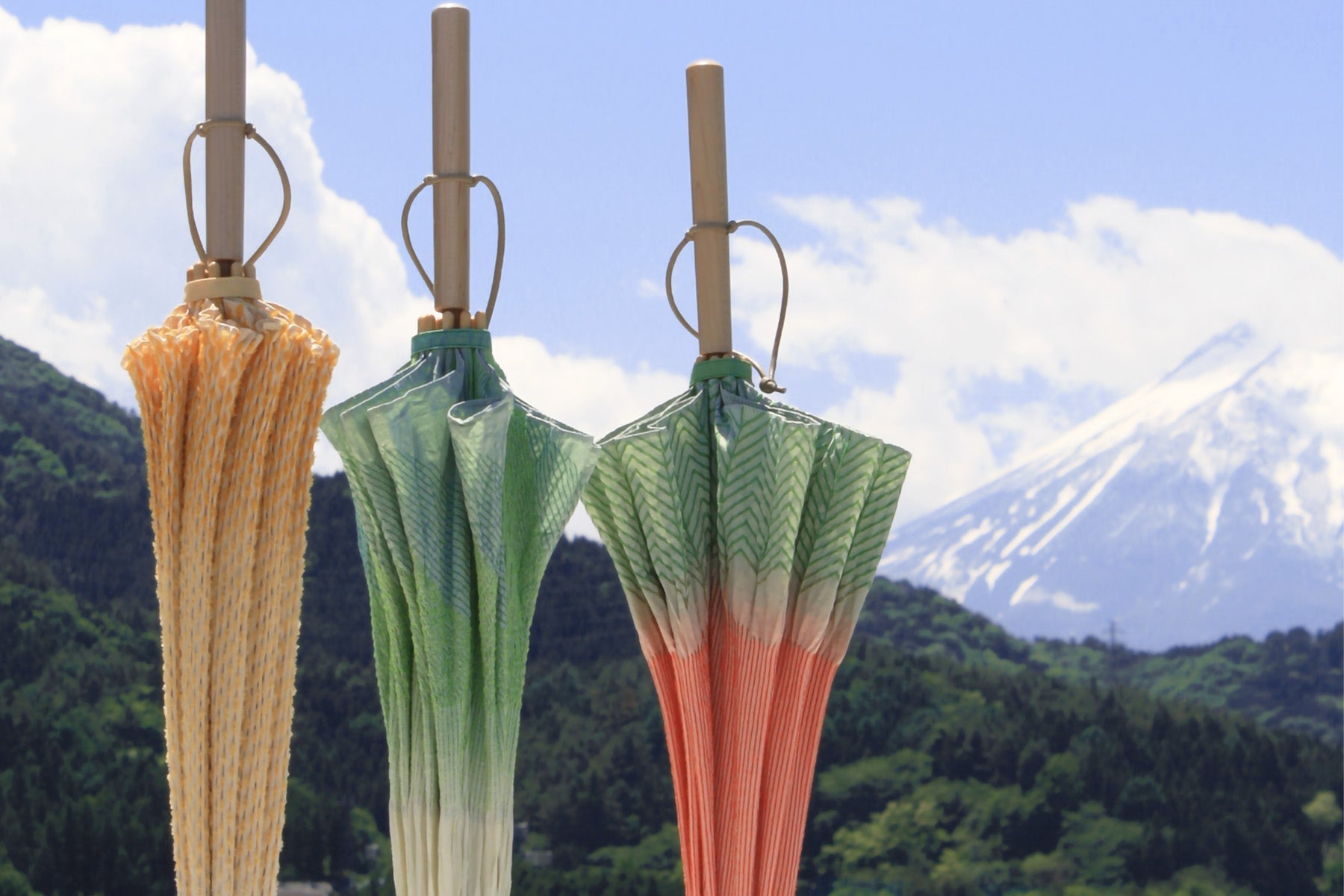 野菜ををモチーフにした日傘と富士山